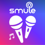 smule karaoke sing record